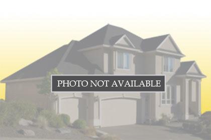 41 Palomino Way, 221146275, Patterson, Single-Family Home,  for sale, Sharon Ghisletta, Realty World - RW Properties
